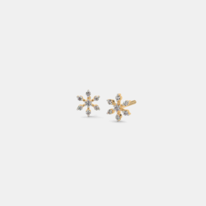The Pariyat Earrings